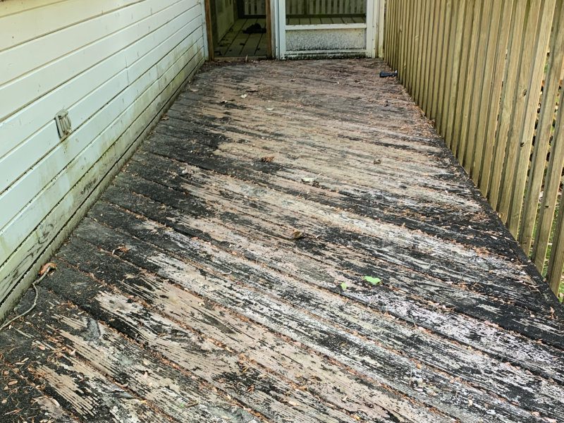 exterior cleaning services