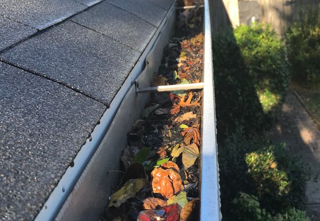 Gutter Cleaning