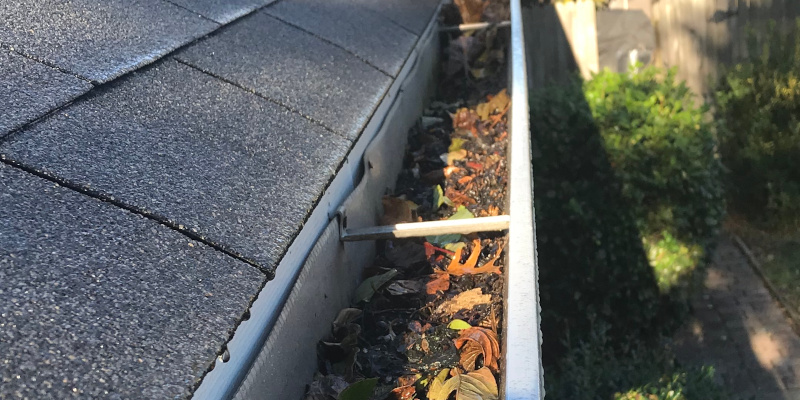 Gutter Cleaning in Providence Forge, Virginia