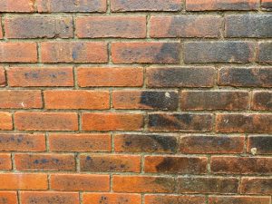 Don’t Paint It! Restore It with Brick Cleaning Services Instead