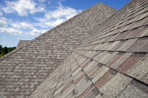 Why Professional Roof Washing is Essential to Your Property