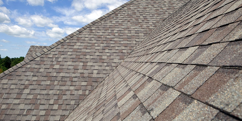 Why Professional Roof Washing is Essential to Your Property