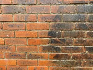 What You Need to Know About Brick Cleaning