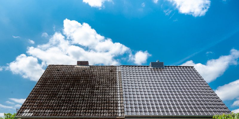 Why You Should Make Roof Cleaning Part of Your Maintenance Routine