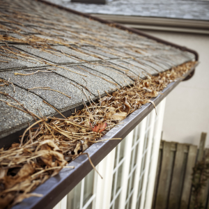 Why Gutter Cleaning is a Key Part of Home Maintenance