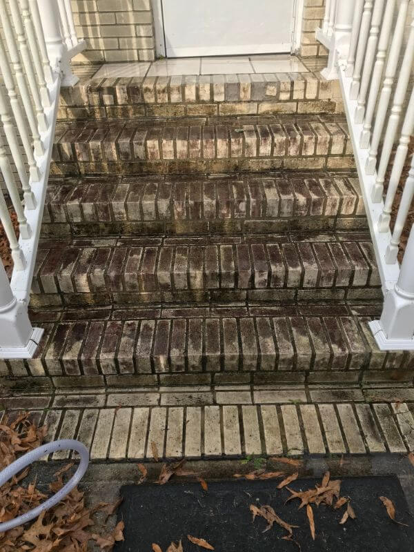 exterior cleaning services