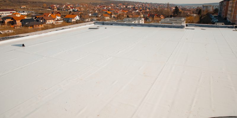 Commercial Roof Washing in Williamsburg, Virginia