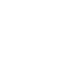 Exterior House Cleaning